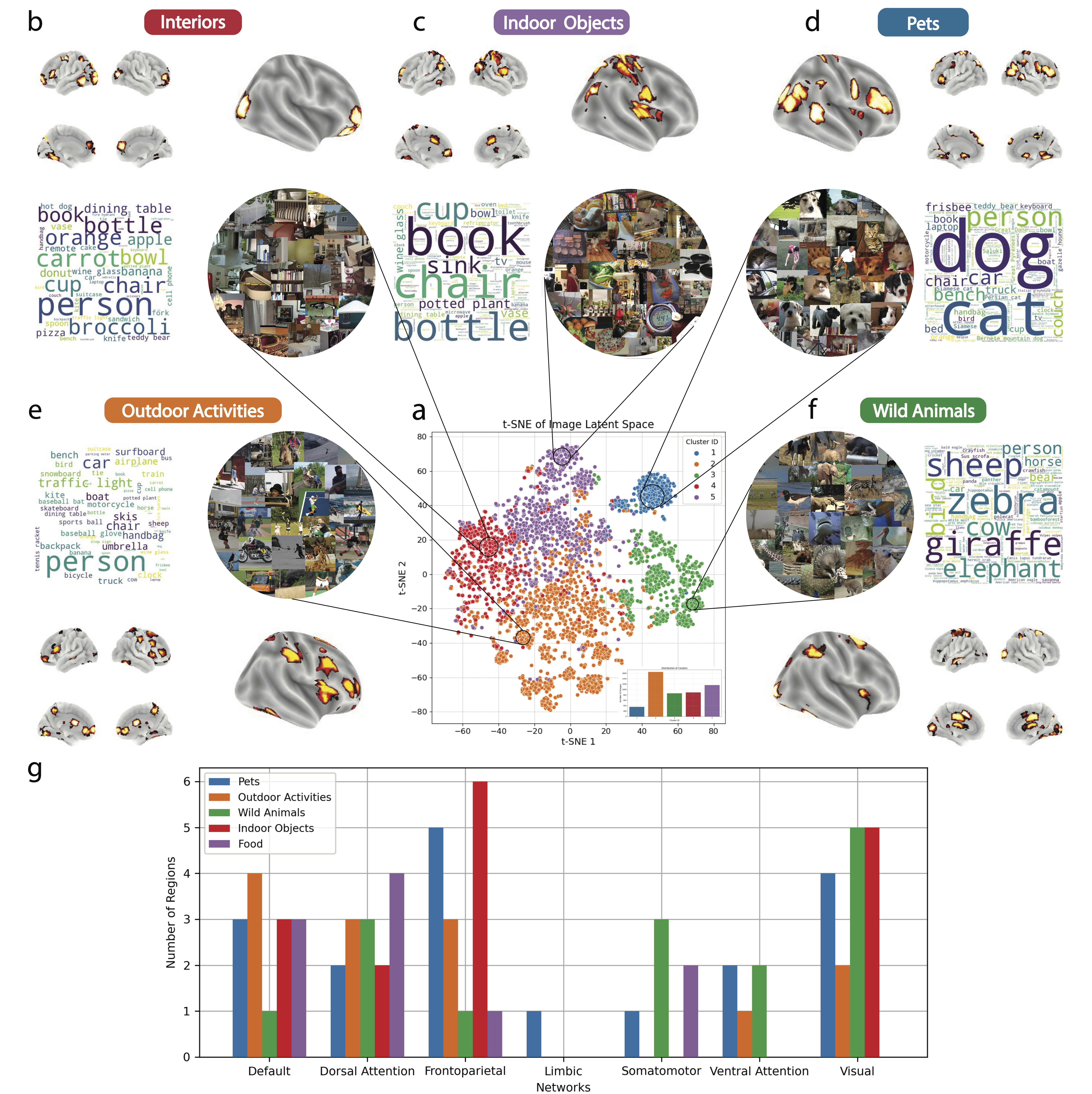 clustering analysis